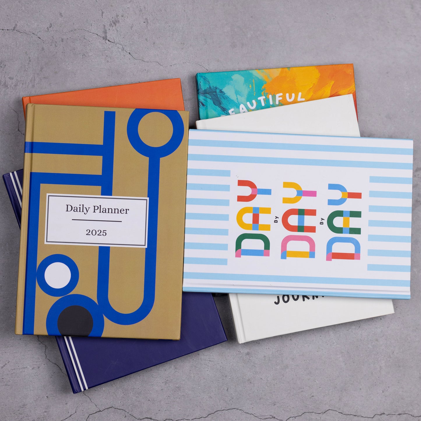 Day by Day by Day Journal