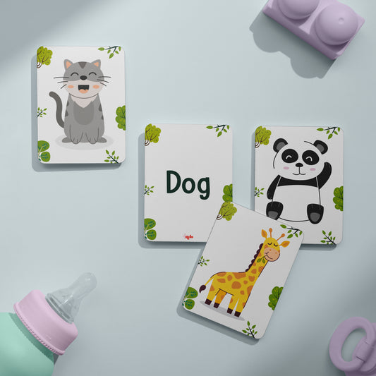 Animal Flash Cards