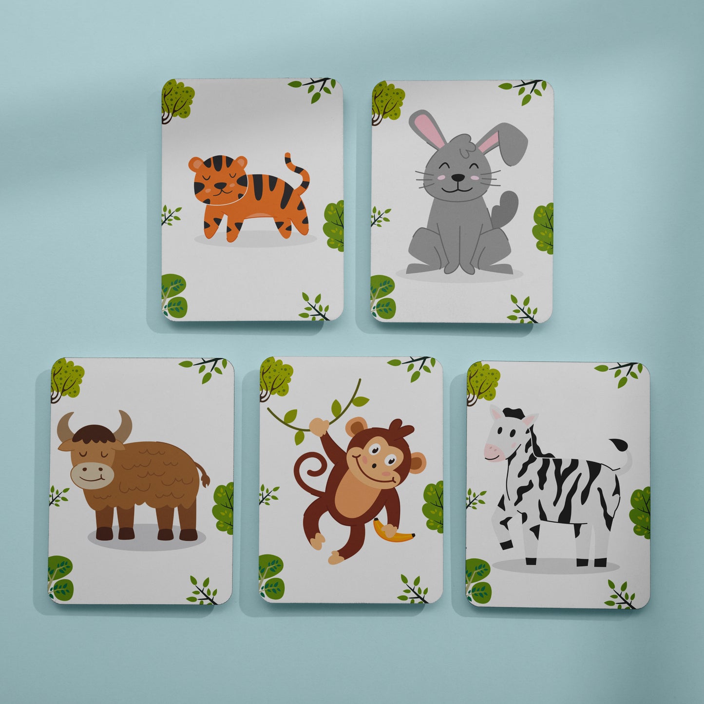 Animal Flash Cards