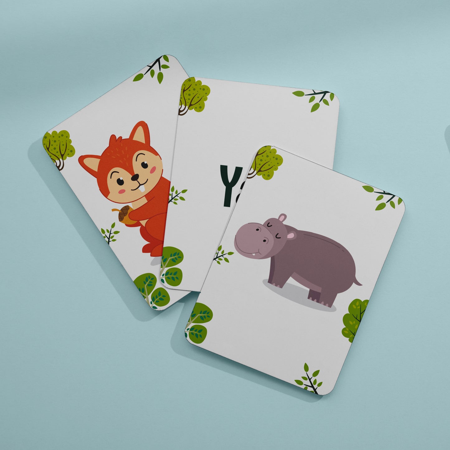 Animal Flash Cards